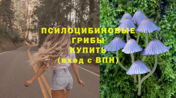 шишки Горнозаводск